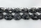CLB380 24*32mm - 25*35mm faceted octagonal black labradorite beads