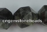 CLB458 15 inches 20mm faceted nuggets labradorite gemstone beads