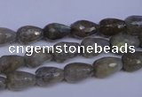 CLB501 15.5 inches 6*10mm faceted teardrop labradorite beads