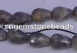 CLB503 15.5 inches 10*14mm faceted teardrop labradorite beads