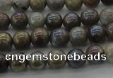 CLB602 15.5 inches 8mm round AB-color labradorite beads