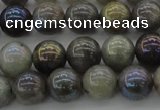 CLB603 15.5 inches 10mm round AB-color labradorite beads