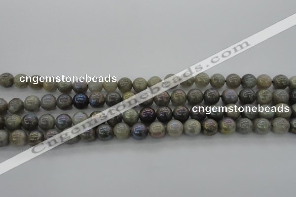 CLB603 15.5 inches 10mm round AB-color labradorite beads