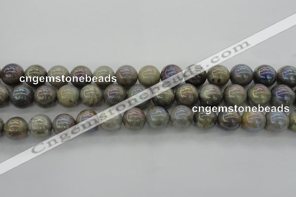 CLB606 15.5 inches 16mm round AB-color labradorite beads