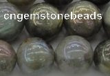 CLB608 15.5 inches 20mm round AB-color labradorite beads