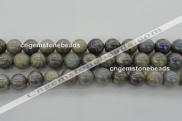 CLB608 15.5 inches 20mm round AB-color labradorite beads