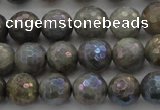 CLB613 15.5 inches 10mm faceted round AB-color labradorite beads