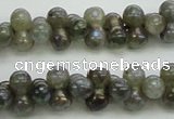 CLB630 15.5 inches 4*9mm bone AB-color labradorite beads