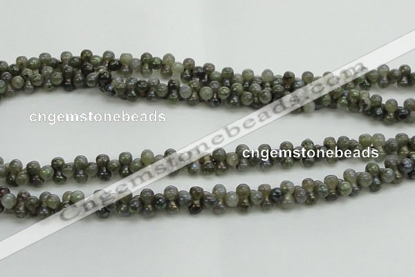 CLB630 15.5 inches 4*9mm bone AB-color labradorite beads