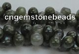 CLB631 15.5 inches 6*12mm bone AB-color labradorite beads