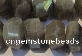 CLB701 15.5 inches 12*22mm - 14*24mm faceted nuggets labradorite beads