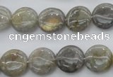 CLB73 15.5 inches 14mm flat round labradorite beads wholesale