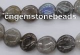 CLB735 15.5 inches 10mm flat round labradorite gemstone beads