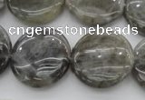 CLB738 15.5 inches 20mm flat round labradorite gemstone beads