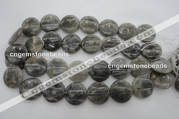 CLB738 15.5 inches 20mm flat round labradorite gemstone beads