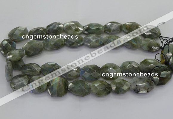 CLB767 15.5 inches 13*18mm - 18*25mm faceted freeform labradorite beads