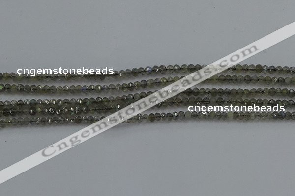 CLB795 15.5 inches 2*3mm faceted rondelle labradorite beads