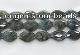 CLB798 20*28mm - 22*32mm faceted octagonal labradorite beads