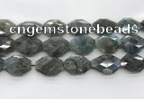 CLB798 20*28mm - 22*32mm faceted octagonal labradorite beads