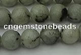 CLB853 15.5 inches 10mm round AB grade labradorite beads wholesale