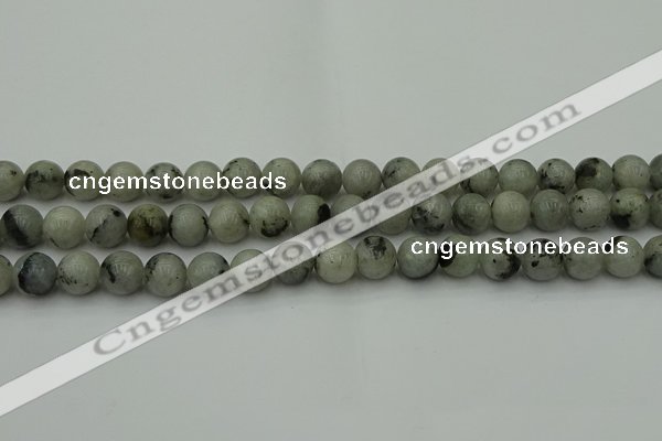 CLB853 15.5 inches 10mm round AB grade labradorite beads wholesale