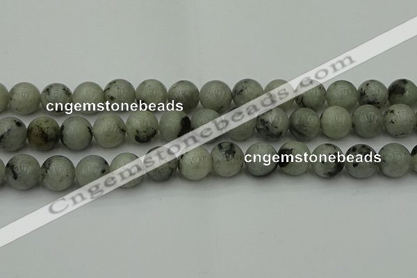 CLB855 15.5 inches 14mm round AB grade labradorite beads wholesale