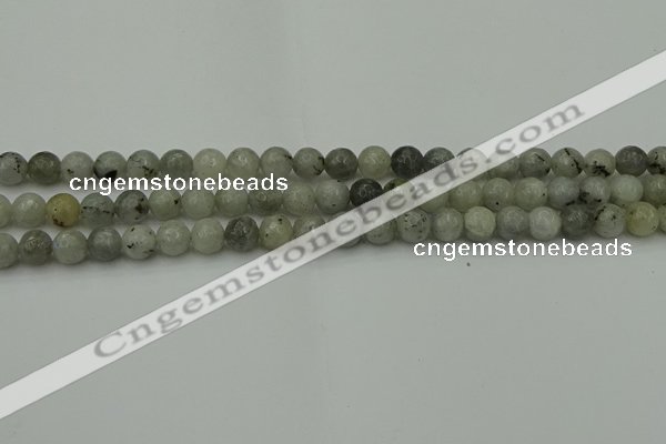 CLB860 15.5 inches 4mm faceted round AB grade labradorite beads