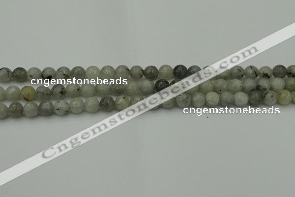 CLB861 15.5 inches 6mm faceted round AB grade labradorite beads