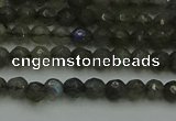 CLB900 15.5 inches 4mm faceted round labradorite gemstone beads