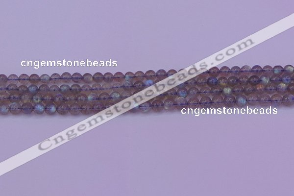 CLB911 15.5 inches 5mm round labradorite gemstone beads