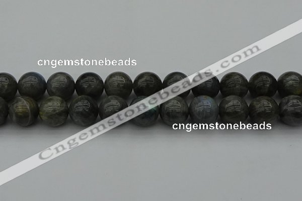 CLB953 15.5 inches 18mm round labradorite gemstone beads