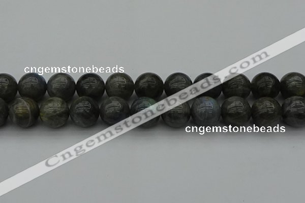 CLB954 15.5 inches 20mm round labradorite gemstone beads