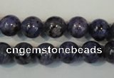 CLJ233 15.5 inches 10mm round dyed sesame jasper beads wholesale