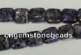 CLJ263 15.5 inches 10*10mm square dyed sesame jasper beads wholesale