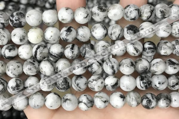 CLJ500 15.5 inches 4mm,6mm,8mm,10mm & 12mm round sesame jasper beads