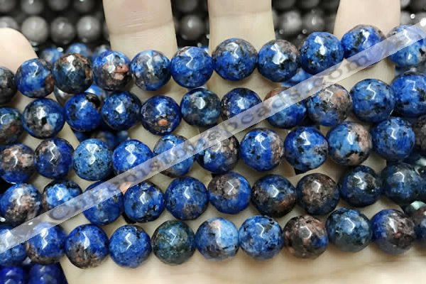 CLJ574 15 inches 10mm faceted round sesame jasper beads