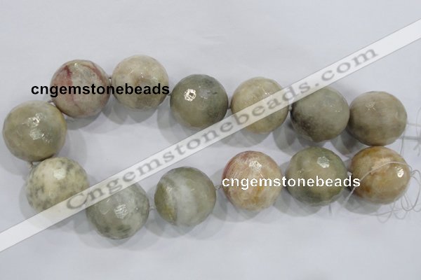 CLS04 15.5 inches 30mm faceted round large fossil coral beads