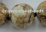 CLS50 15.5 inches 30mm round large picture jasper beads