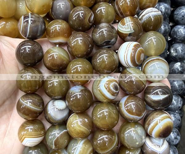 CLS612 15 inches 16mm round brown banded agate gemstone beads