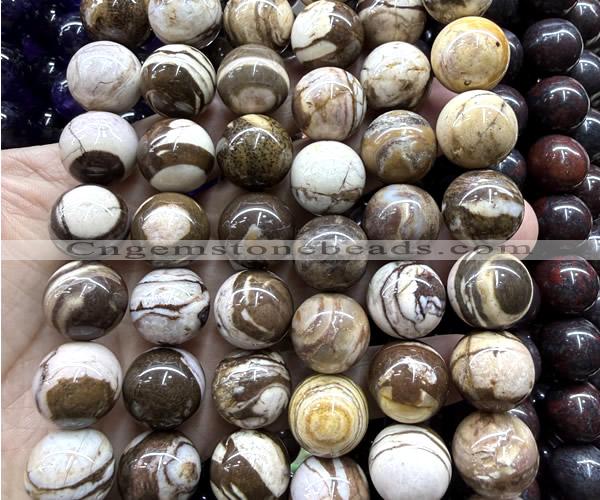 CLS633 15 inches 16mm round Australian zebra jasper beads