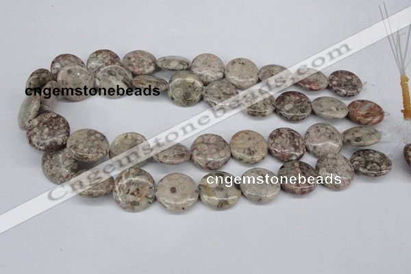 CMB11 15.5 inches 20mm flat round natural medical stone beads