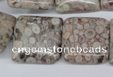 CMB23 15.5 inches 25*25mm square natural medical stone beads