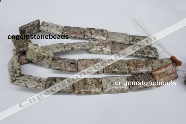 CMB28 15.5 inches 20*30mm rectangle natural medical stone beads