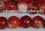CMJ1157 15.5 inches 10mm round jade beads wholesale