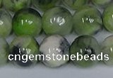 CMJ1218 15.5 inches 12mm round jade beads wholesale