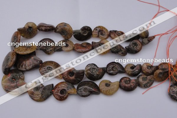 CMM01 15.5 inches 13*18mm - 30*35mm carved ammonite gemstone beads