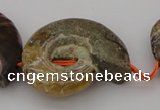 CMM02 15.5 inches 18*25mm - 35*45mm carved ammonite gemstone beads