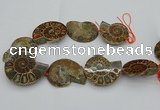 CMM03 15.5 inches 35*45mm - 45*55mm carved ammonite gemstone beads