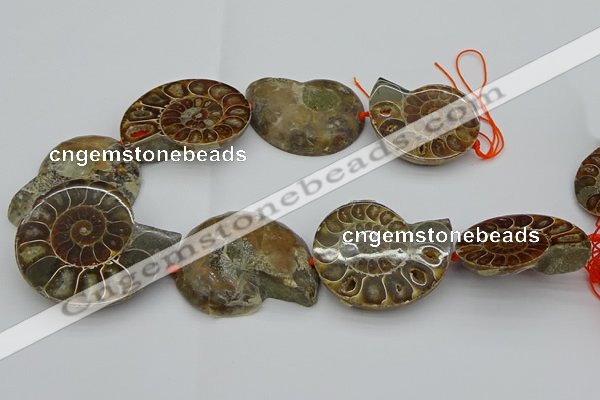 CMM03 15.5 inches 35*45mm - 45*55mm carved ammonite gemstone beads