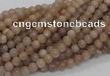 CMS01 15.5 inches 4mm round moonstone gemstone beads wholesale